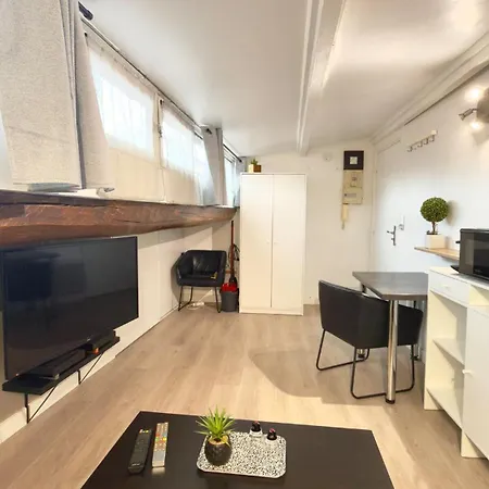 Cosy Et Lumineux En Hypercentre A דירה