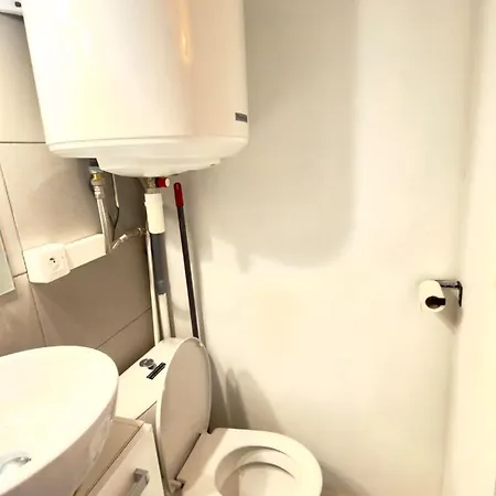 Cosy Et Lumineux En Hypercentre A Toulouse