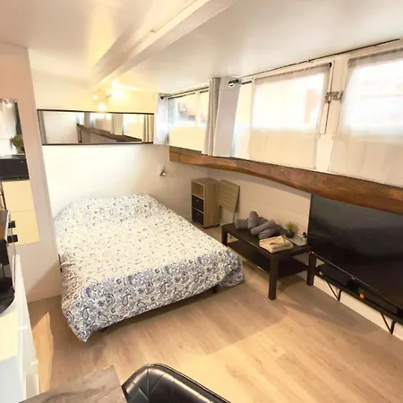 Apartamento Cosy Et Lumineux En Hypercentre A