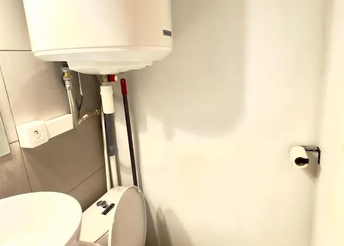 Cosy Et Lumineux En Hypercentre A Toulouse