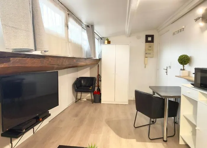 Cosy Et Lumineux En Hypercentre A Appartement